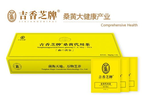 桑黃茶全國區域代理商招募 誠邀合作伙伴，共享健康茶飲藍海市場